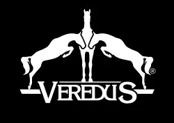 logo-veredus_resultat